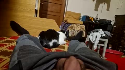 joyboy465468 online show from October 26, 4:02 pm