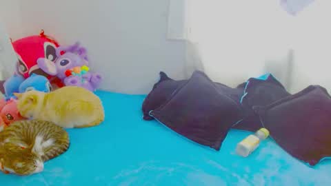  Juliana Torres  online show from January 7, 6:32 pm