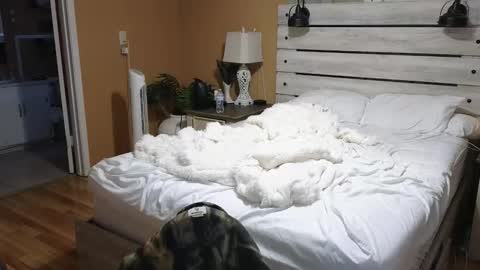 Texas Mamasita online show from February 6, 2:53 pm