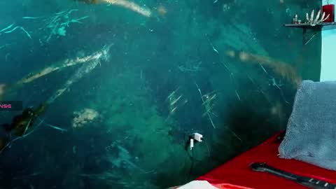    online show from February 20, 6:59 am