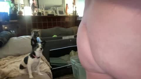 Snapshot of just4you101 chatting on February 10, 9:52 pm Flirty influncer online show from February 10, 9:52 pm