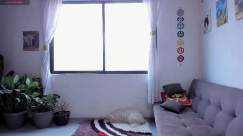 Sofia online show from April 11, 1:48 pm