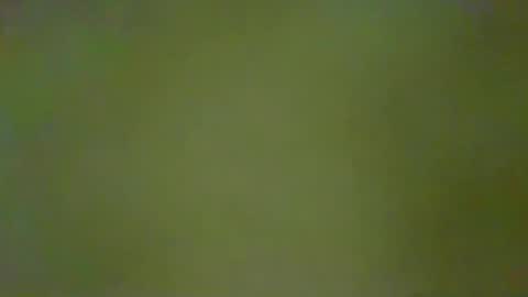 McKeefer online show from January 18, 5:28 pm