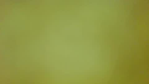 McKeefer online show from March 28, 7:35 pm