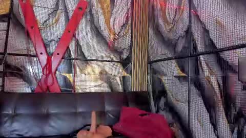 kati online show from June 11, 8:18 pm