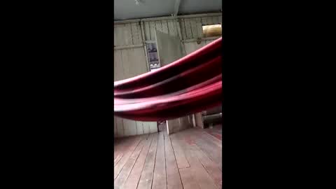 kelpejonh online show from March 17, 5:05 pm