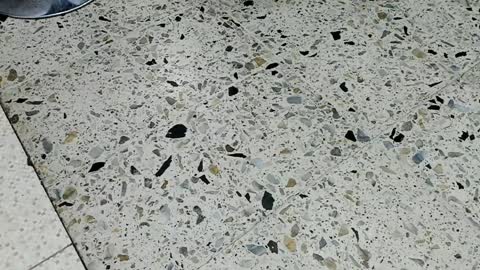 Kendra London online show from April 10, 11:59 am