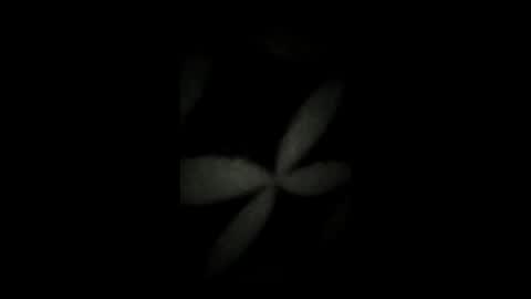 Snapshot of kenzo6140 chatting on April 7, 12:33 am kenzo6140 online show from April 7, 12:33 am