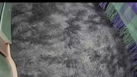 Keyla online show from April 18, 4:22 pm