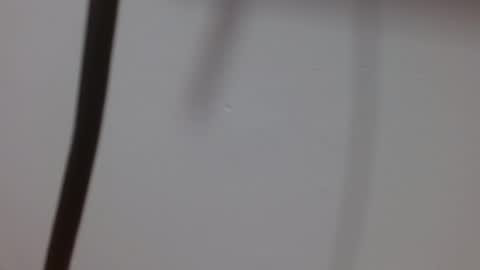 Melody online show from October 3, 12:02 pm