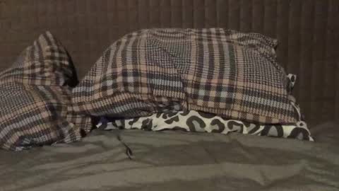 Snapshot of kiki3526 chatting on November 23, 7:35 pm kiki3526 online show from November 23, 7:35 pm