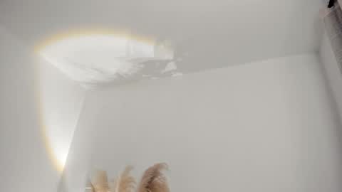 Kim Murphy online show from February 19, 11:28 am