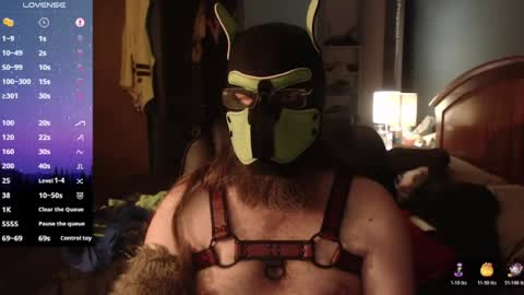 kinkywolf87 online show from June 14, 3:08 am