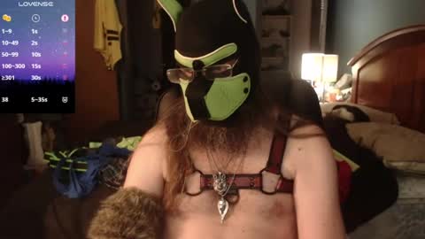 kinkywolf87 online show from June 14, 10:23 pm