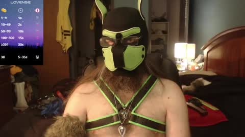 kinkywolf87 online show from June 15, 5:26 pm