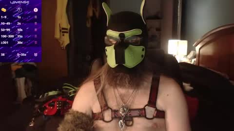 kinkywolf87 online show from June 18, 12:11 am