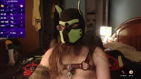 kinkywolf87 online show from June 18, 6:56 pm