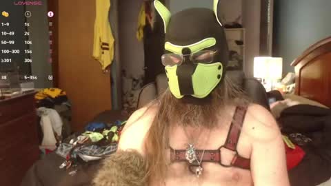 kinkywolf87 online show from June 22, 7:22 pm