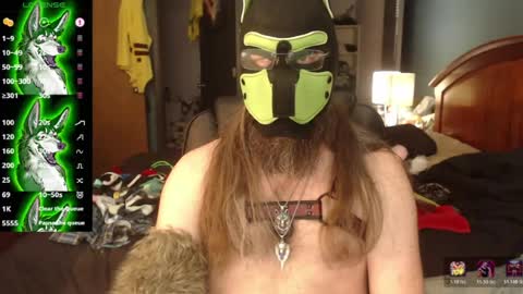 kinkywolf87 online show from June 29, 7:14 pm