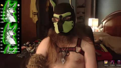 kinkywolf87 online show from July 2, 12:10 am