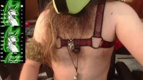 kinkywolf87 online show from July 19, 8:45 pm