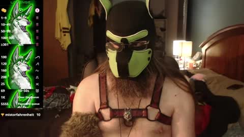 kinkywolf87 online show from July 20, 3:47 pm