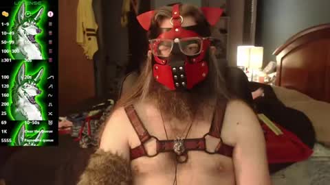 kinkywolf87 online show from July 22, 4:54 pm