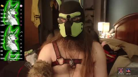 kinkywolf87 online show from July 27, 5:09 pm