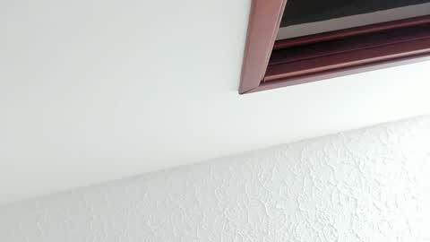 Snapshot of kissmesara chatting on February 27, 12:16 pm Sara online show from February 27, 12:16 pm