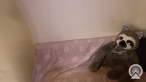 Snapshot of kitiket1 chatting on February 11, 5:40 pm kitiket1 online show from February 11, 5:40 pm