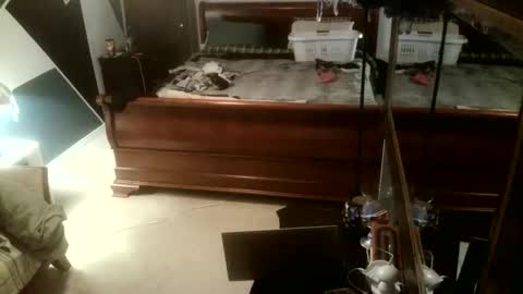 Snapshot of kittenkatch chatting on February 8, 5:11 am KittenKatch online show from February 8, 5:11 am