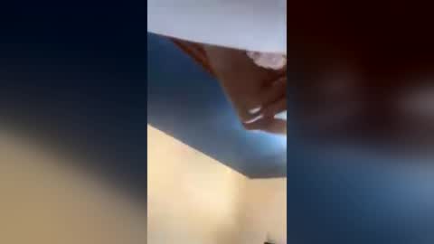 kitty_kat77 online show from July 22, 8:11 pm
