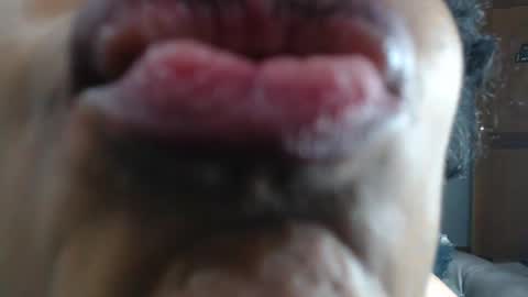 kitty online show from January 23, 3:48 am