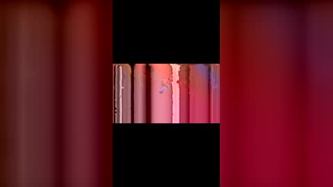 Snapshot of kittypurrrrry chatting on March 2, 5:31 pm kittypurrrrry online show from March 2, 5:31 pm