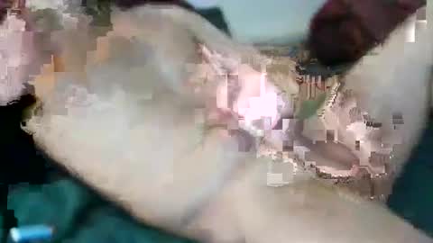 kloeyhoottoyboy online show from March 21, 1:54 am