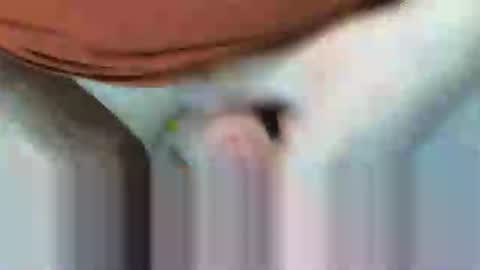 Snapshot of klok8230 chatting on February 15, 8:27 pm klok8230 online show from February 15, 8:27 pm