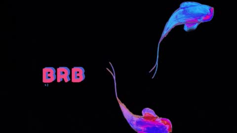 knowlita  online show from March 6, 8:27 pm