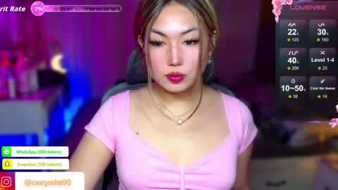 Snapshot of koreandollts chatting on June 23, 4:54 am MISS ALICIA online show from June 23, 4:54 am