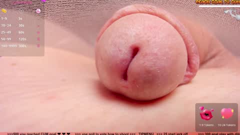 Petra online show from February 8, 8:10 pm