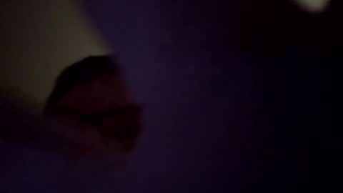 Tommy online show from December 1, 11:59 am