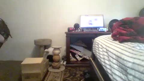 krystalizedkitsune online show from July 20, 11:29 pm