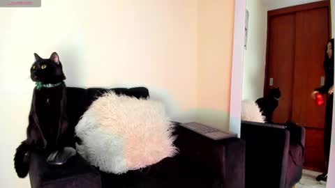 lace_victoria online show from January 7, 6:54 pm