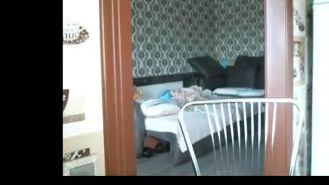 Snapshot of lady_cute_cat chatting on June 23, 2:53 am lady cute cat29 online show from June 23, 2:53 am