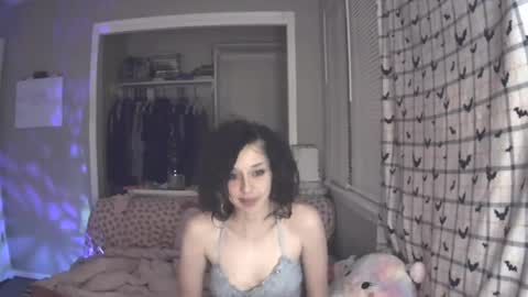 Snapshot of ladybughug chatting on December 18, 3:04 am hugbug online show from December 18, 3:04 am