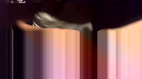 lalo112233vaz online show from November 16, 9:04 am