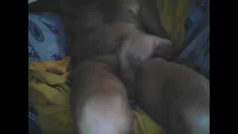 Larop49 online show from October 6, 5:16 am