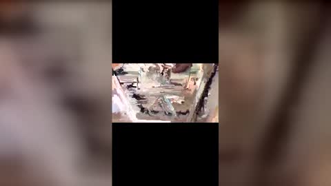 latinbulldaddy88036 online show from March 9, 9:08 pm