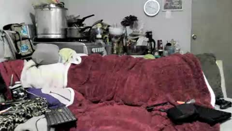 Snapshot of lauradecuada2 chatting on February 8, 4:38 am lauradecuada2 online show from February 8, 4:38 am