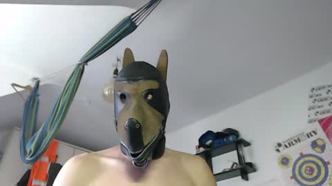 Leather Dog online show from July 8, 9:14 am