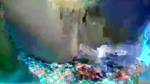 Snapshot of leilah_hope chatting on February 16, 5:47 am leilah_hope online show from February 16, 5:47 am